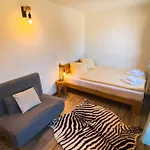 Апартаменты Olsa - Cozy In Кандерштег