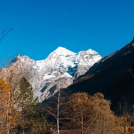 Olsa - Cozy In Kandersteg