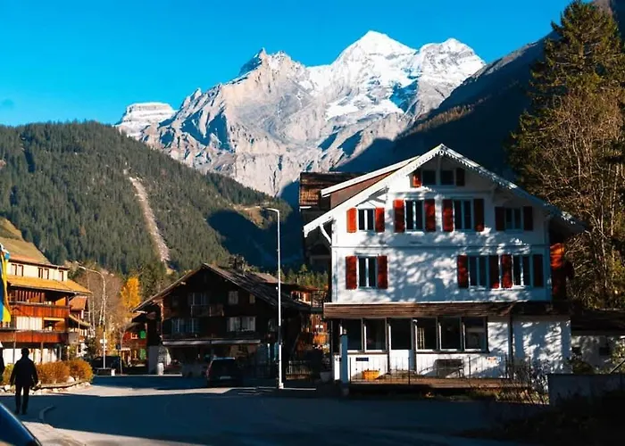 Olsa - Cozy In Apartment