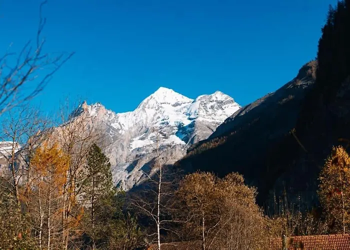 Olsa - Cozy In Kandersteg