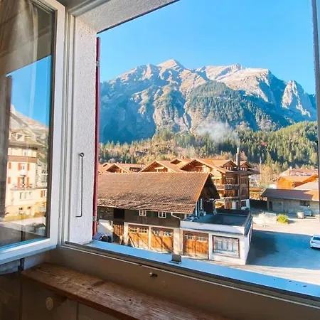 Olsa - Cozy In *